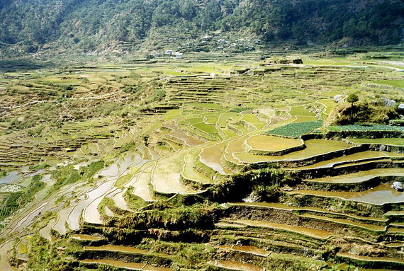 Banaue Rice Terraces, in Ifugao Stairway to Heaven Philippines _04