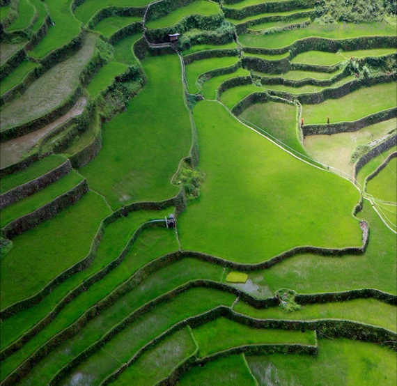Banaue Rice Terraces, in Ifugao Stairway to Heaven Philippines _09