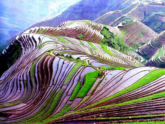 Banaue Rice Terraces, in Ifugao Stairway to Heaven Philippines _11