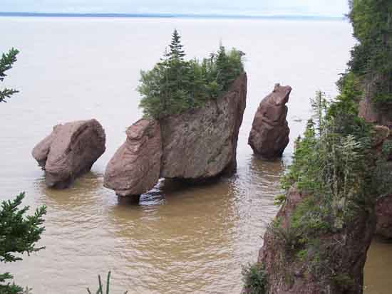 Canada  Bay of Fundy Tides,The Highest Tides in the World!