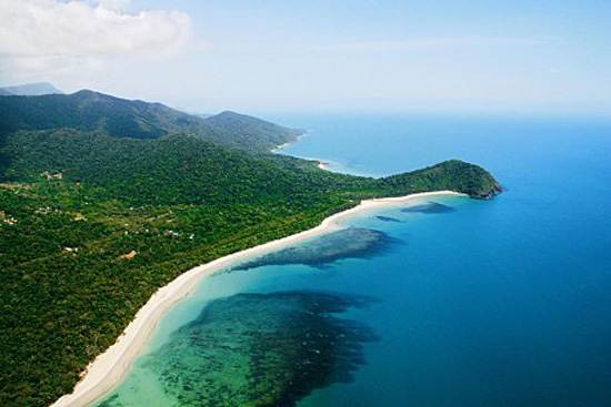 daintree-the-oldest-continuously-living-rain-forest-11
