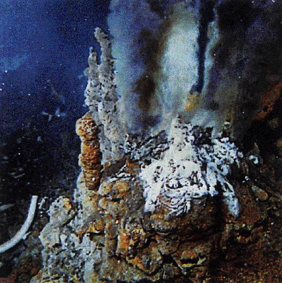 ocean-floor-deep-sea-vents-1