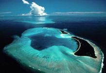 Palau The Black Islands one of 7 Underwater Wonder of the World.
