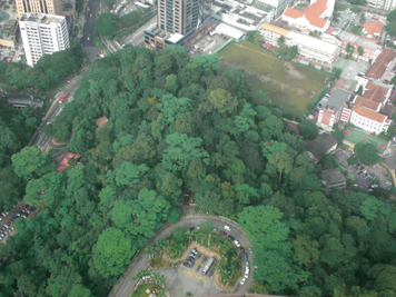 The Worlds Oldest Tropical Rainforest Beckons Malaysia