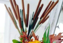 The Gourds and Pumpkins for Fall and Halloween Decoration