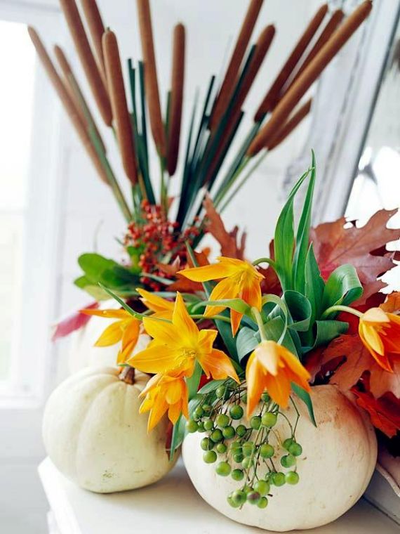 The  Gourds and Pumpkins for Fall and Halloween Decoration