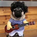 Guitar Player Dog Costume