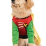 Robin Dog Costume
