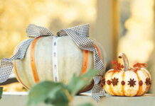 No-Carve Halloween Holiday pumpkin decorating ideas, A pale green pumpkin wrapped in ribbons with a large gingham bow next to a small orange tiger pumpkin decorated with star anise pods.