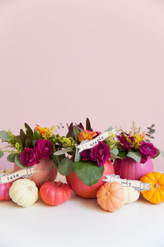 The Gourds and Pumpkins for Fall and Halloween Decoration