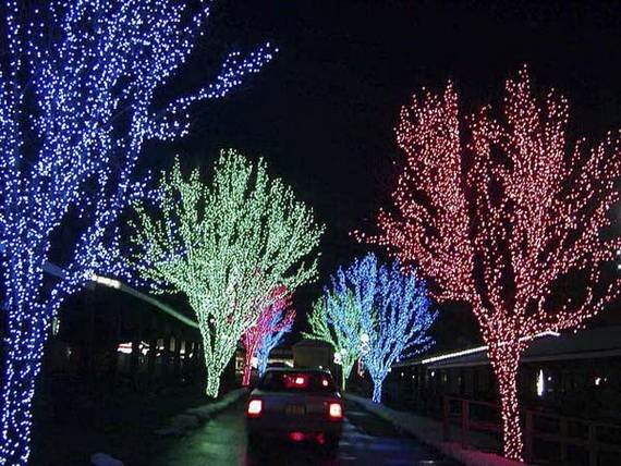 Fantastic-Christmas-Holiday-Lights-Display_19