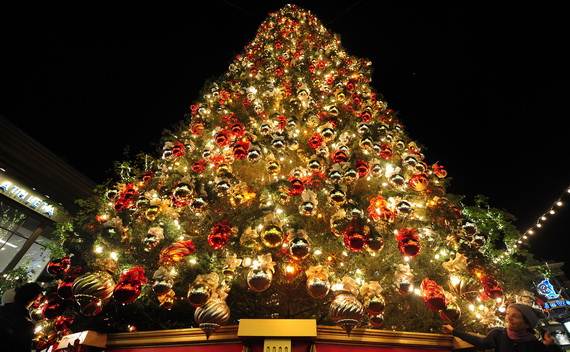 Fantastic-Christmas-Holiday-Lights-Display_27