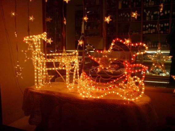 Fantastic-Christmas-Lights-Display_05