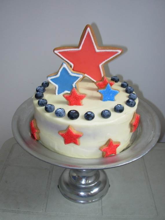 Independence Day Cakes & Cupcakes Decorating Ideas  (14)