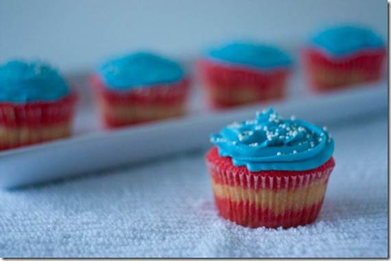 Independence Day Cakes & Cupcakes Decorating Ideas (44)