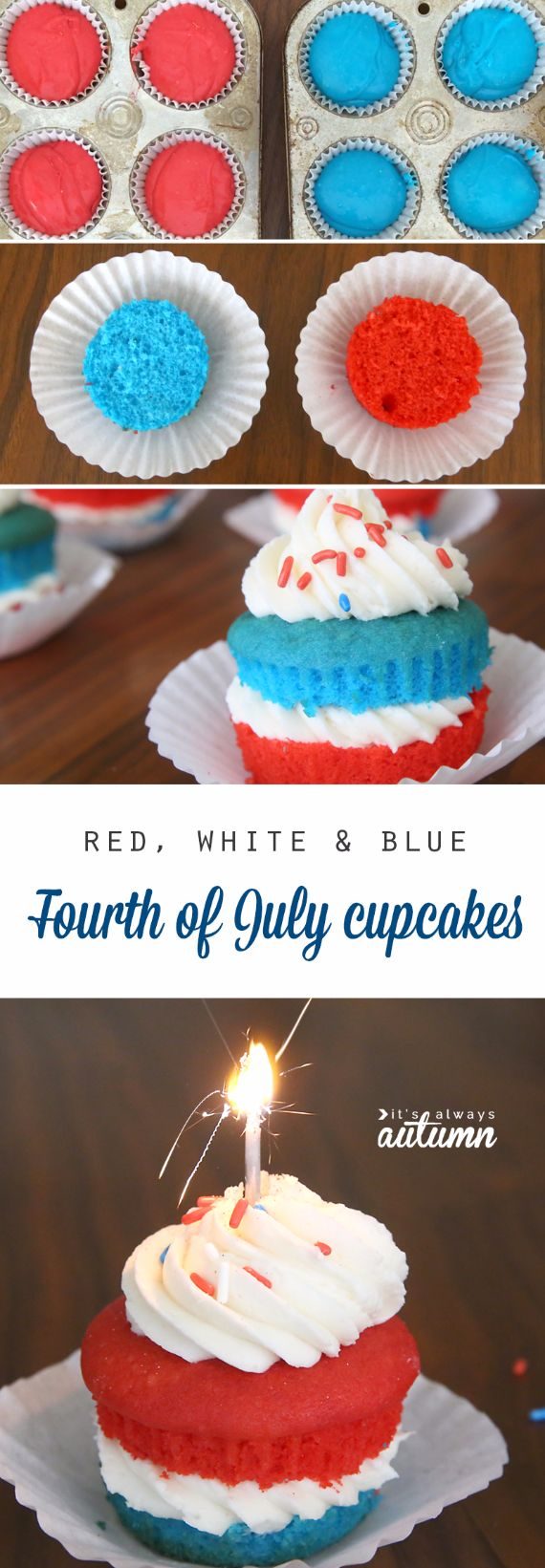 Independence Day Cakes and cupcaesCupcakes (19)