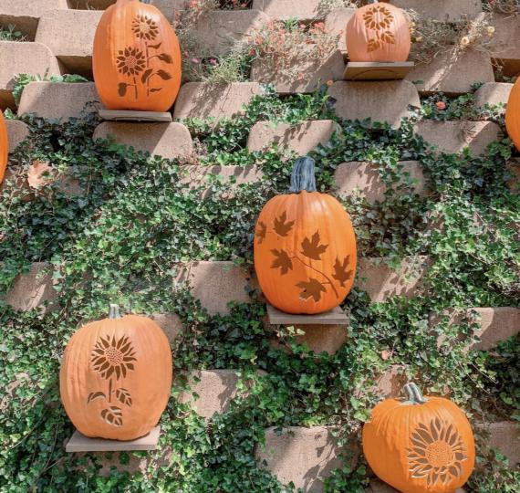 Unique Jack-O’-Lantern Ideas with leaf and sunflower designs adorn a terraced wall covered in green ivy, creating a festive and artistic autumn display.