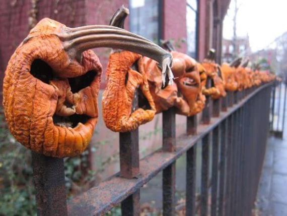 Wrinkled, carved pumpkins line a black metal fence, their once cheerful faces now shriveled and eerie, against a blurred urban backdrop.