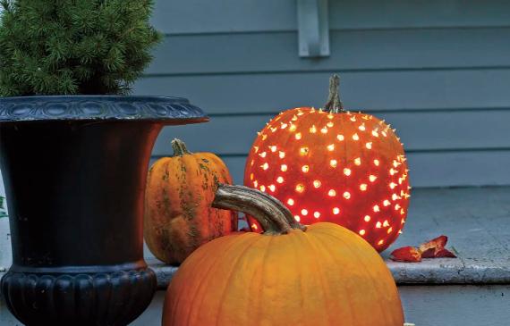 Three Easy Pumpkin Carving Designs on a porch, one carved with glowing holes, next to a dark planter with a small shrub. The scene is calm and festive.