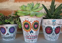 Crafts and Activities For All SOULS DAY “Day of the Dead” Three terracotta clay pots hand-painted with white backgrounds and intricate black sugar skull designs holding green succulents and house plants for Day of the Dead activities.