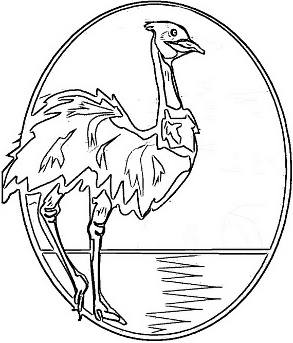 Australia- Day- Coloring- Pages- for- Kids_19