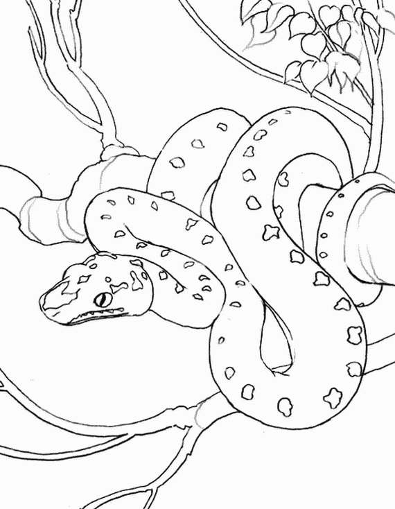 Chinese- New- Year- Snake- Coloring- Pages_37