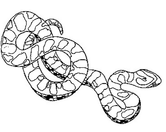 Chinese- New- Year- Snake- Coloring- Pages_40
