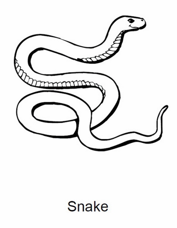 Chinese- New- Year- Snake- Coloring- Pages_50