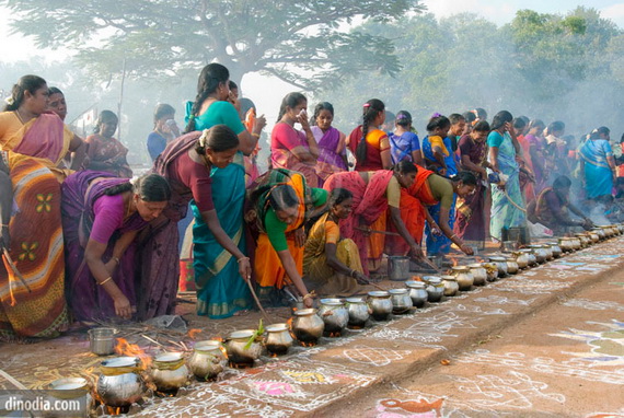 Pongal – Celebrating the Indian Harvest Festival_14