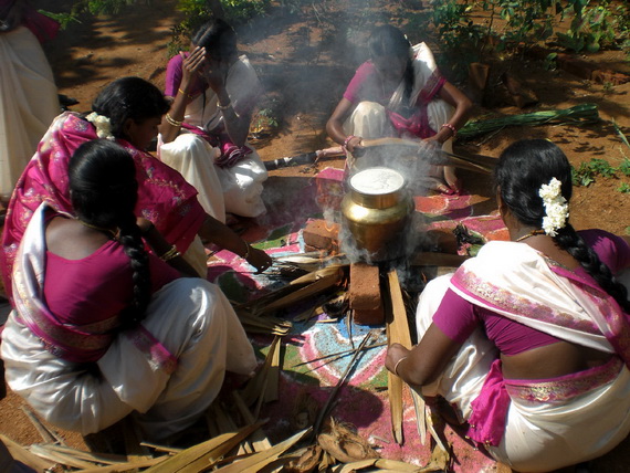 Pongal – Celebrating the Indian Harvest Festival_19