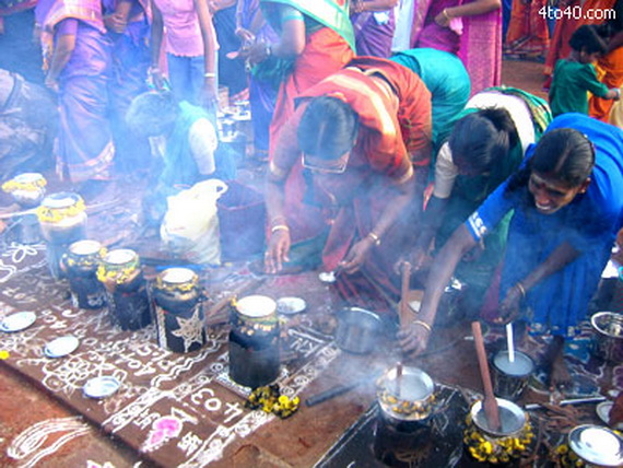 Pongal – Celebrating the Indian Harvest Festival_20