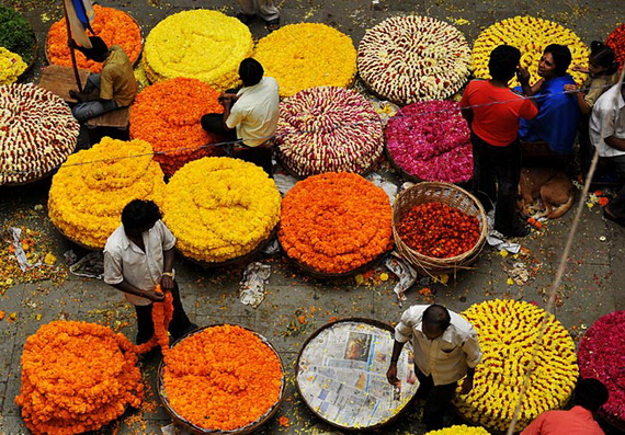 Pongal – Celebrating the Indian Harvest Festival_26