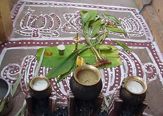 Pongal – Celebrating the Indian Harvest Festival_32
