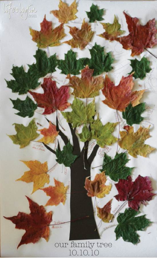 Family-Tree-Projects-Gift-Ideas_17