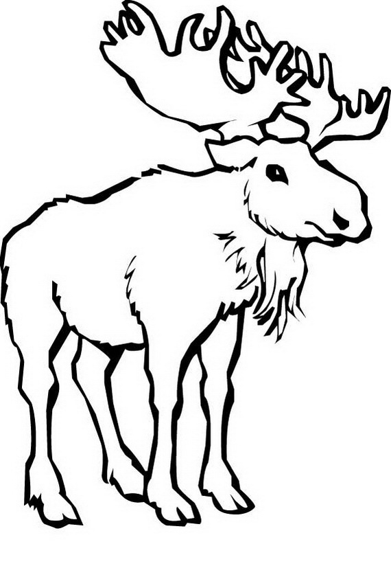 Canada Day Coloring Pages _57