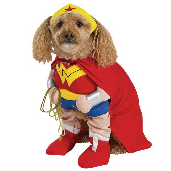 Unique and Beautiful Halloween Costumes Ideas for Pets_03
