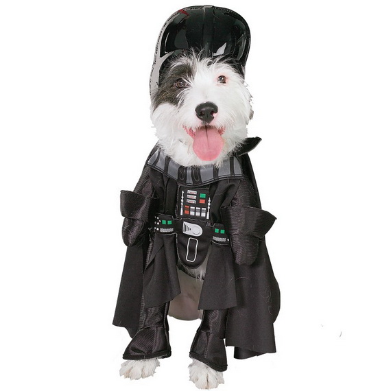 Unique and Beautiful Halloween Costumes Ideas for Pets_04
