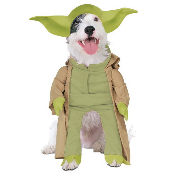 Unique and Beautiful Halloween Costumes Ideas for Pets_05
