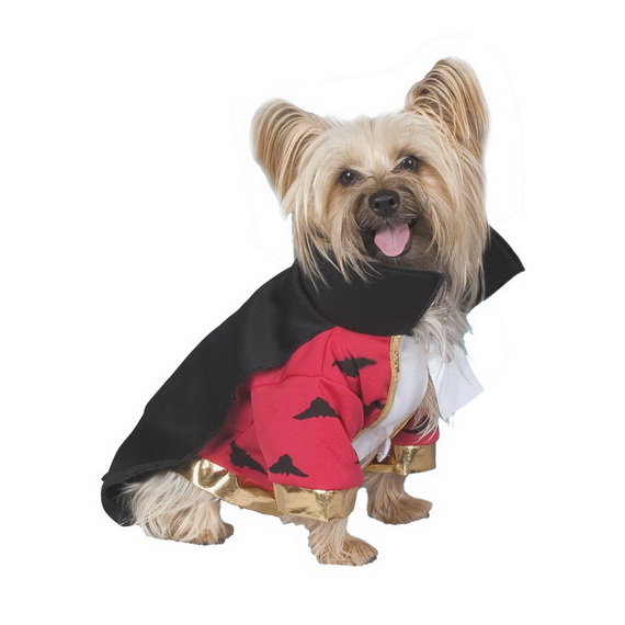 Unique and Beautiful Halloween Costumes Ideas for Pets_08