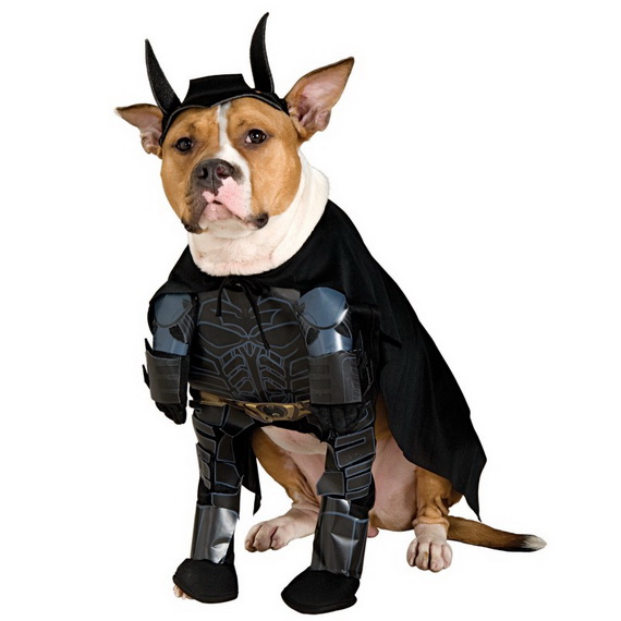 Unique and Beautiful Halloween Costumes Ideas for Pets_09