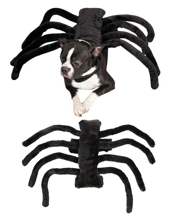 Unique and Beautiful Halloween Costumes Ideas for Pets_17
