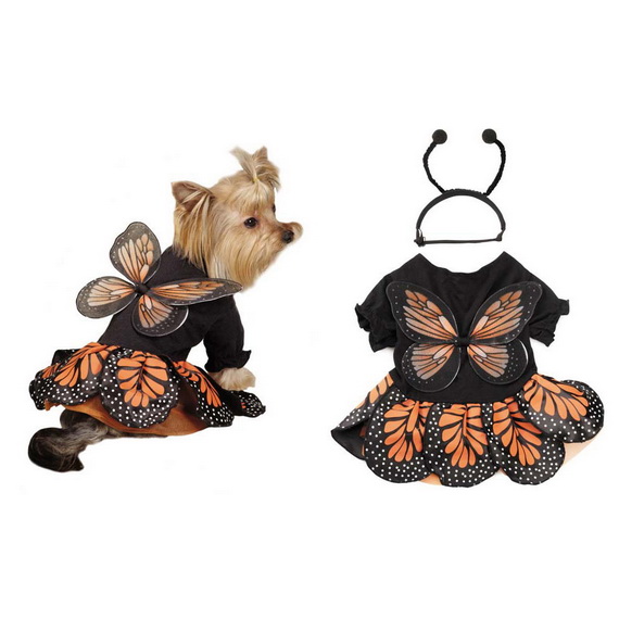 Unique and Beautiful Halloween Costumes Ideas for Pets_19