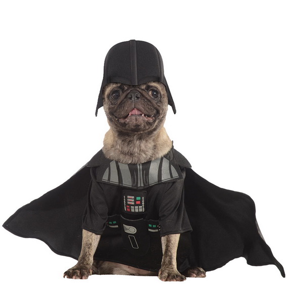Unique and Beautiful Halloween Costumes Ideas for Pets_26