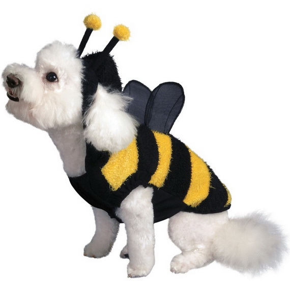 Unique and Beautiful Halloween Costumes Ideas for Pets_33