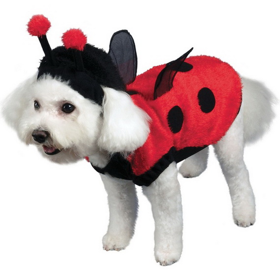 Unique and Beautiful Halloween Costumes Ideas for Pets_34