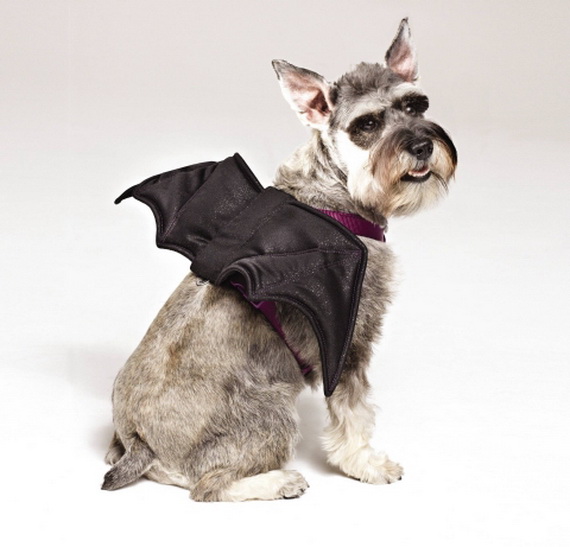 Unique and Beautiful Halloween Costumes Ideas for Pets_42