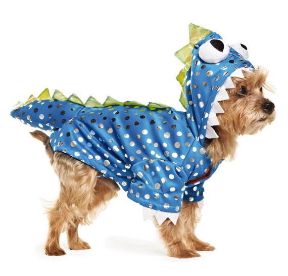 Unique and Beautiful Halloween Costumes Ideas for Pets_43