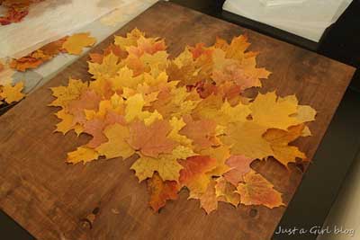 Fall Decor Crafts-Easy Fall Leaf Art Projects