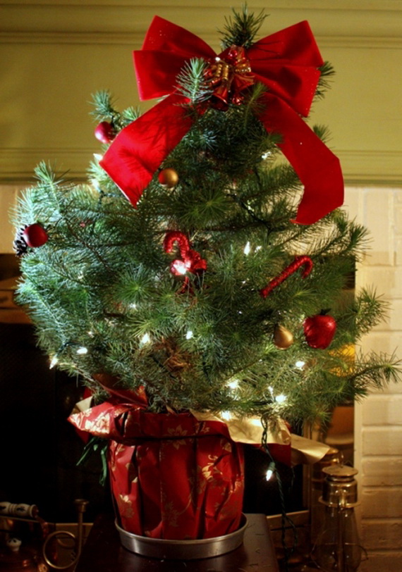 2013Tabletop Christmas Trees for the Holiday Season_01
