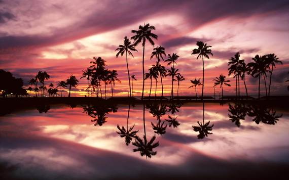 A-Seven-Day-Beach-Vacation-The-Relaxing-Hawaiian-Islands-_10